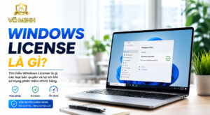 Windows License la gi